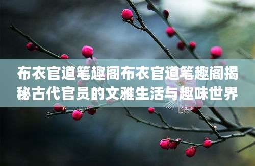 布衣官道笔趣阁布衣官道笔趣阁揭秘古代官员的文雅生活与趣味世界