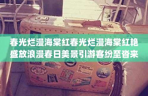 春光烂漫海棠红春光烂漫海棠红艳盛放浪漫春日美景引游客纷至沓来