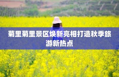 菊里菊里景区焕新亮相打造秋季旅游新热点