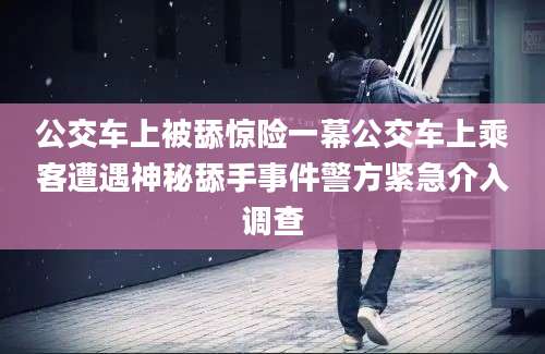 公交车上被舔惊险一幕公交车上乘客遭遇神秘舔手事件警方紧急介入调查
