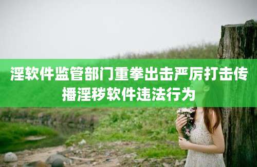 淫软件监管部门重拳出击严厉打击传播淫秽软件违法行为