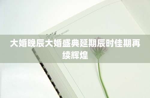 大婚晚辰大婚盛典延期辰时佳期再续辉煌
