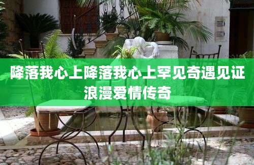 降落我心上降落我心上罕见奇遇见证浪漫爱情传奇