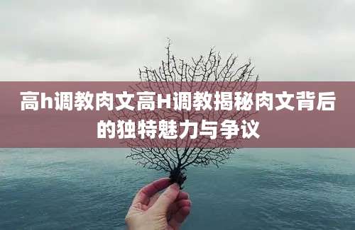 高h调教肉文高H调教揭秘肉文背后的独特魅力与争议