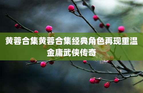 黄蓉合集黄蓉合集经典角色再现重温金庸武侠传奇