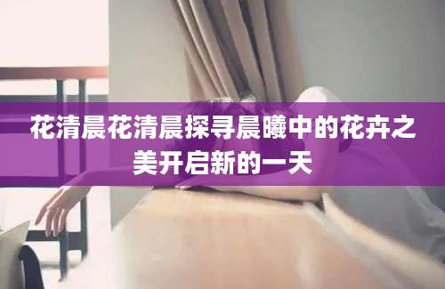 花清晨花清晨探寻晨曦中的花卉之美开启新的一天
