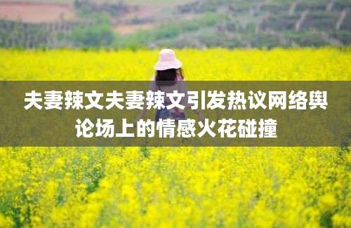 夫妻辣文夫妻辣文引发热议网络舆论场上的情感火花碰撞