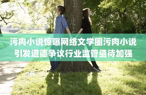污肉小说惊曝网络文学圈污肉小说引发道德争议行业监管亟待加强