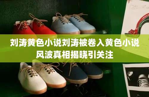 刘涛黄色小说刘涛被卷入黄色小说风波真相揭晓引关注