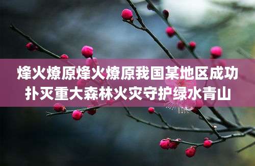 烽火燎原烽火燎原我国某地区成功扑灭重大森林火灾守护绿水青山