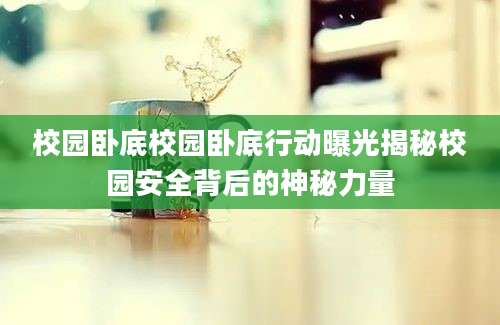 校园卧底校园卧底行动曝光揭秘校园安全背后的神秘力量