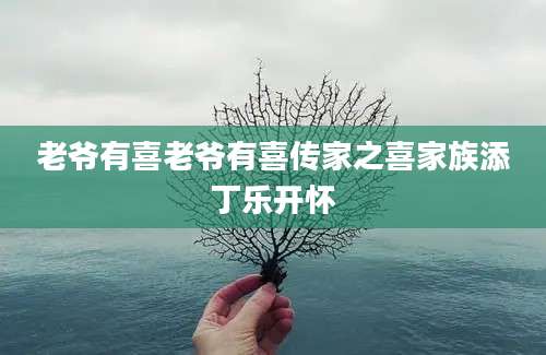 老爷有喜老爷有喜传家之喜家族添丁乐开怀