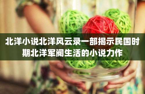 北洋小说北洋风云录一部揭示民国时期北洋军阀生活的小说力作