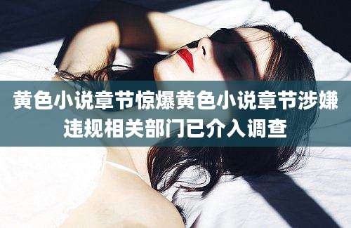 黄色小说章节惊爆黄色小说章节涉嫌违规相关部门已介入调查