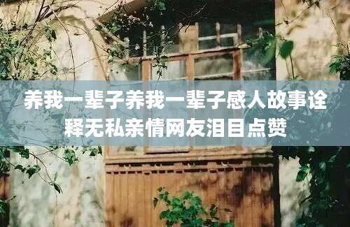 养我一辈子养我一辈子感人故事诠释无私亲情网友泪目点赞