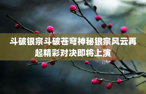 斗破银宗斗破苍穹神秘银宗风云再起精彩对决即将上演
