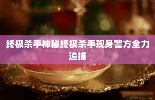 终极杀手神秘终极杀手现身警方全力追捕