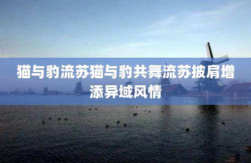 猫与豹流苏猫与豹共舞流苏披肩增添异域风情