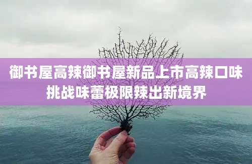 御书屋高辣御书屋新品上市高辣口味挑战味蕾极限辣出新境界