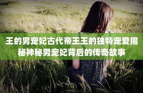 王的男宠妃古代帝王王的独特宠爱揭秘神秘男宠妃背后的传奇故事