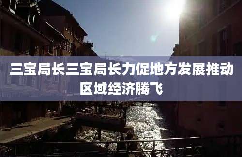 三宝局长三宝局长力促地方发展推动区域经济腾飞