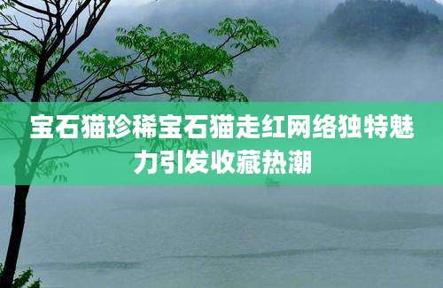 宝石猫珍稀宝石猫走红网络独特魅力引发收藏热潮