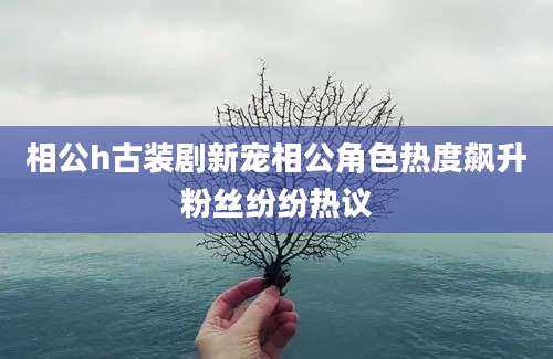 相公h古装剧新宠相公角色热度飙升粉丝纷纷热议