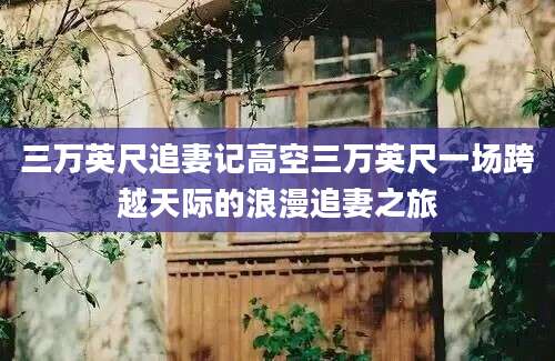 三万英尺追妻记高空三万英尺一场跨越天际的浪漫追妻之旅