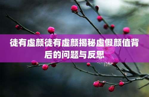 徒有虚颜徒有虚颜揭秘虚假颜值背后的问题与反思
