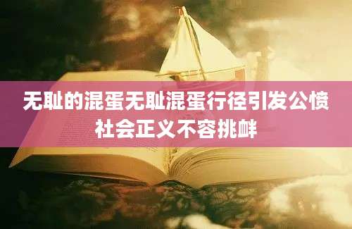 无耻的混蛋无耻混蛋行径引发公愤社会正义不容挑衅