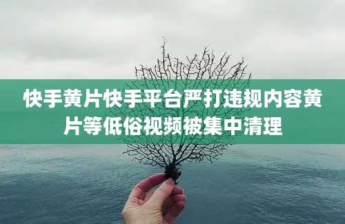 快手黄片快手平台严打违规内容黄片等低俗视频被集中清理