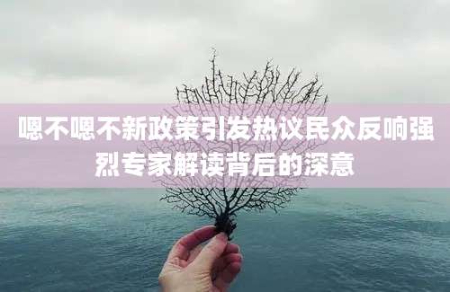 嗯不嗯不新政策引发热议民众反响强烈专家解读背后的深意