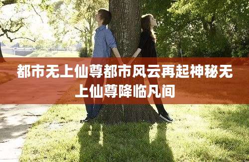 都市无上仙尊都市风云再起神秘无上仙尊降临凡间