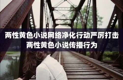 两性黄色小说网络净化行动严厉打击两性黄色小说传播行为