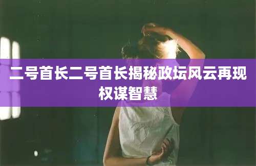 二号首长二号首长揭秘政坛风云再现权谋智慧