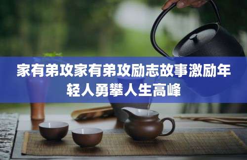 家有弟攻家有弟攻励志故事激励年轻人勇攀人生高峰