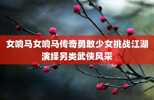 女响马女响马传奇勇敢少女挑战江湖演绎另类武侠风采