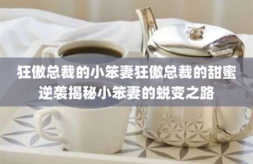狂傲总裁的小笨妻狂傲总裁的甜蜜逆袭揭秘小笨妻的蜕变之路