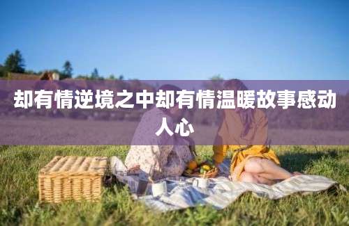 却有情逆境之中却有情温暖故事感动人心