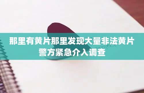 那里有黄片那里发现大量非法黄片警方紧急介入调查