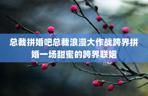 总裁拼婚吧总裁浪漫大作战跨界拼婚一场甜蜜的跨界联姻