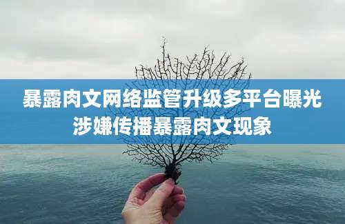 暴露肉文网络监管升级多平台曝光涉嫌传播暴露肉文现象