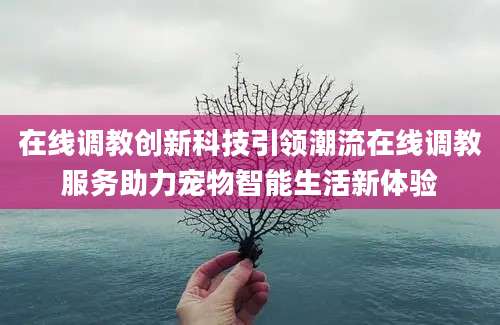 在线调教创新科技引领潮流在线调教服务助力宠物智能生活新体验