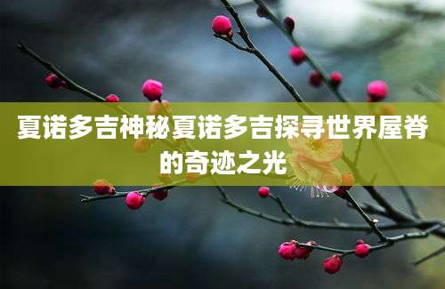 夏诺多吉神秘夏诺多吉探寻世界屋脊的奇迹之光
