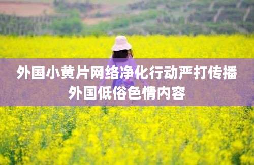 外国小黄片网络净化行动严打传播外国低俗色情内容