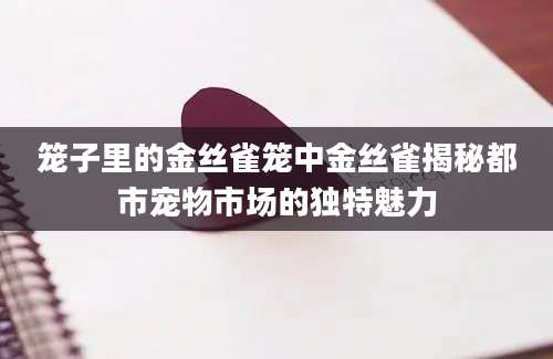笼子里的金丝雀笼中金丝雀揭秘都市宠物市场的独特魅力