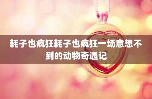 耗子也疯狂耗子也疯狂一场意想不到的动物奇遇记