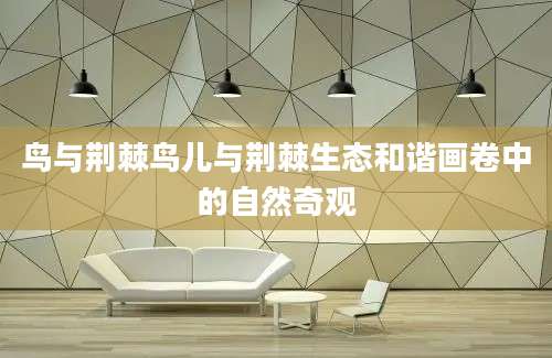 鸟与荆棘鸟儿与荆棘生态和谐画卷中的自然奇观
