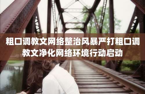 粗口调教文网络整治风暴严打粗口调教文净化网络环境行动启动