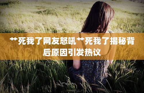艹死我了网友怒吼艹死我了揭秘背后原因引发热议